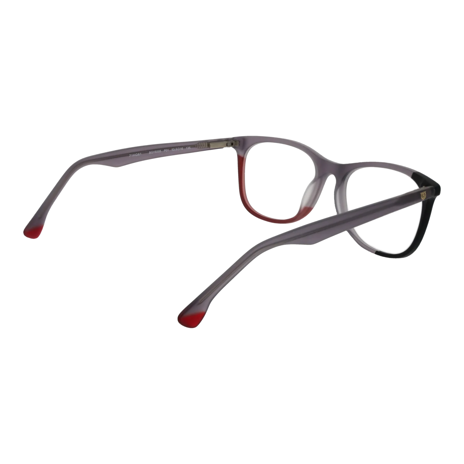 bgy6005-53p01_2.png