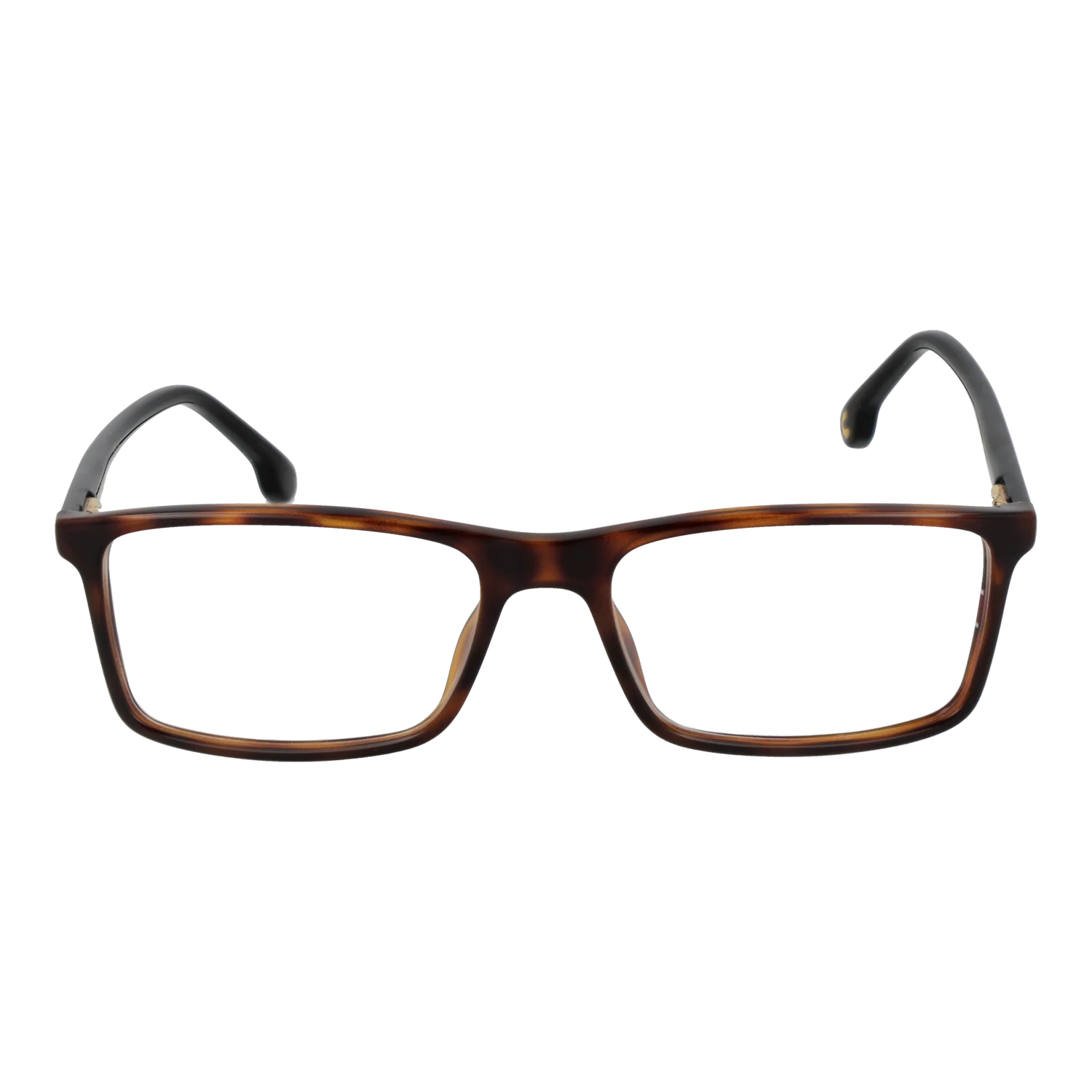 carrera-175-5508617_1.png