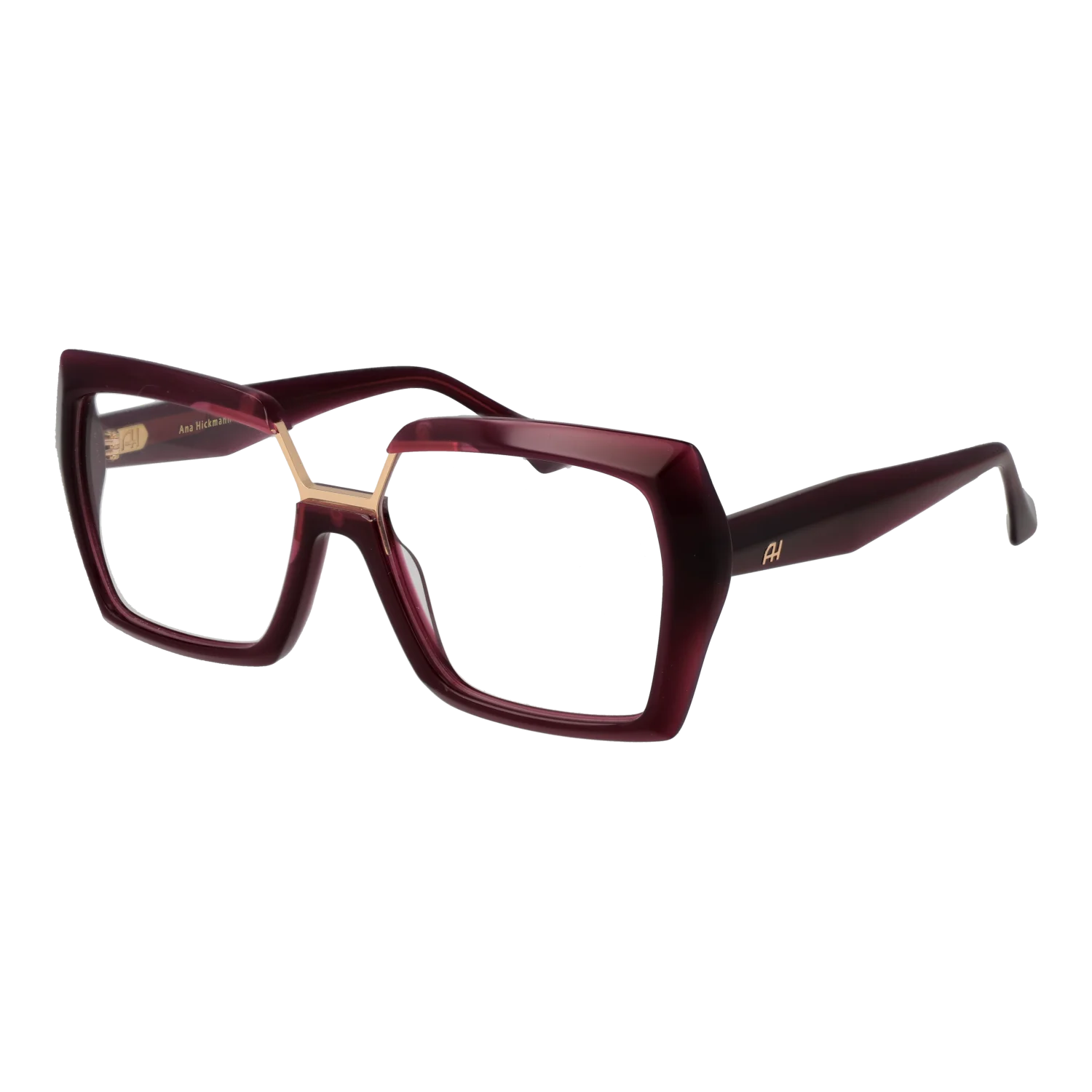 Ana Hickmann Optical Frame AH6593 T02 55