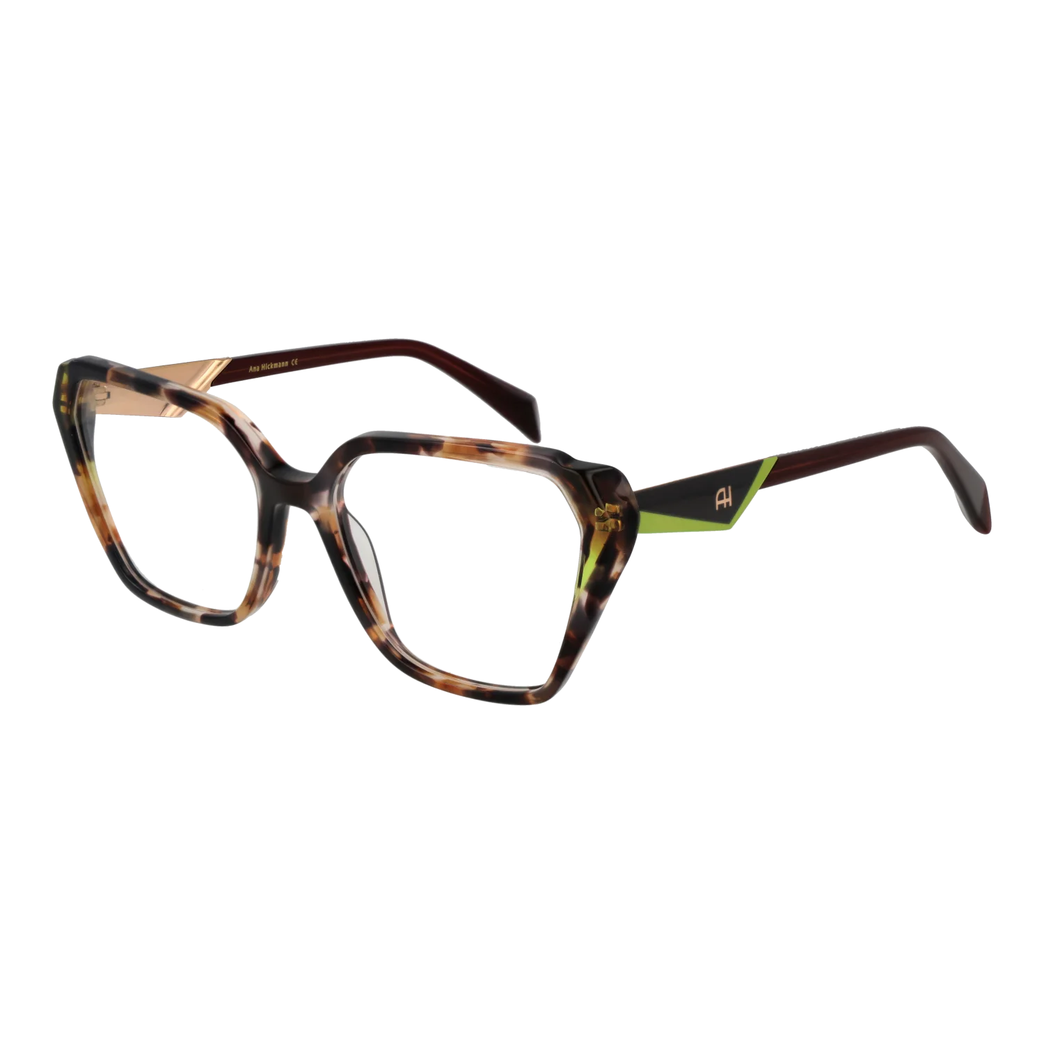 Ana Hickmann Optical Frame AH6538 P01 55