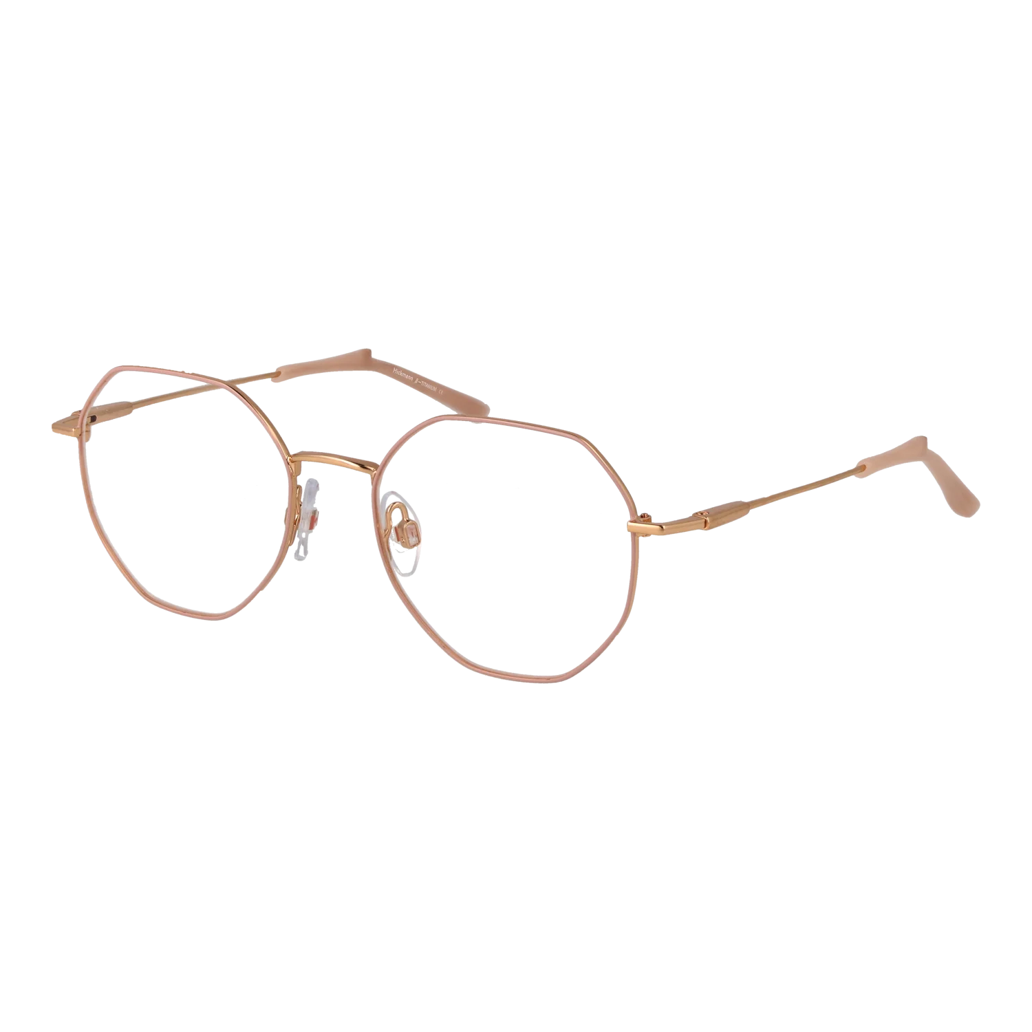Ana Hickmann Optical Frame HIY1031T 05B 49 Titanium