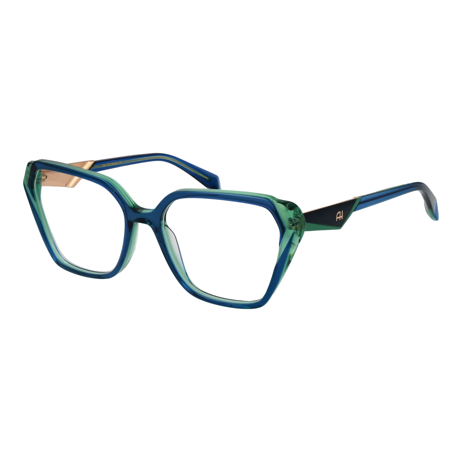 Ana Hickmann Optical Frame AH6538 H02 54