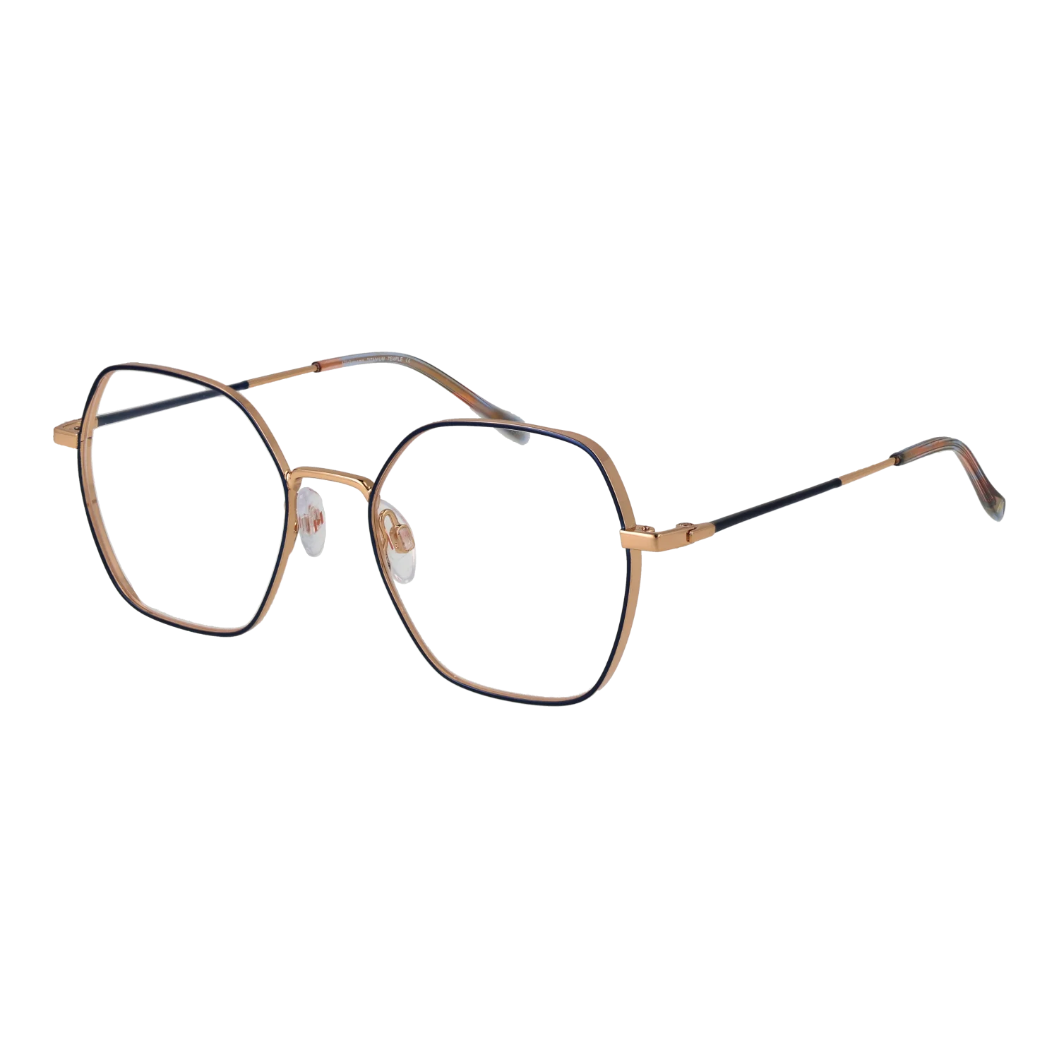 Ana Hickmann Optical Frame HIY1017T 06A 49 Titanium