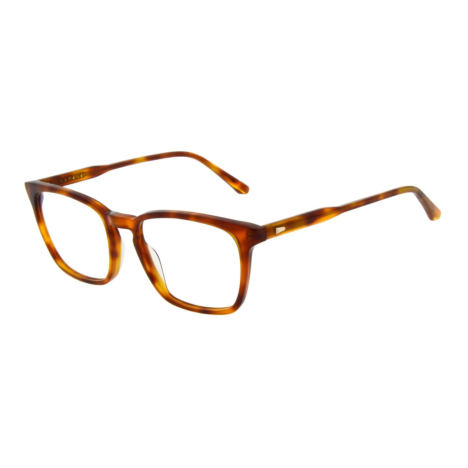 Sandro Gafas SD1029 201 55