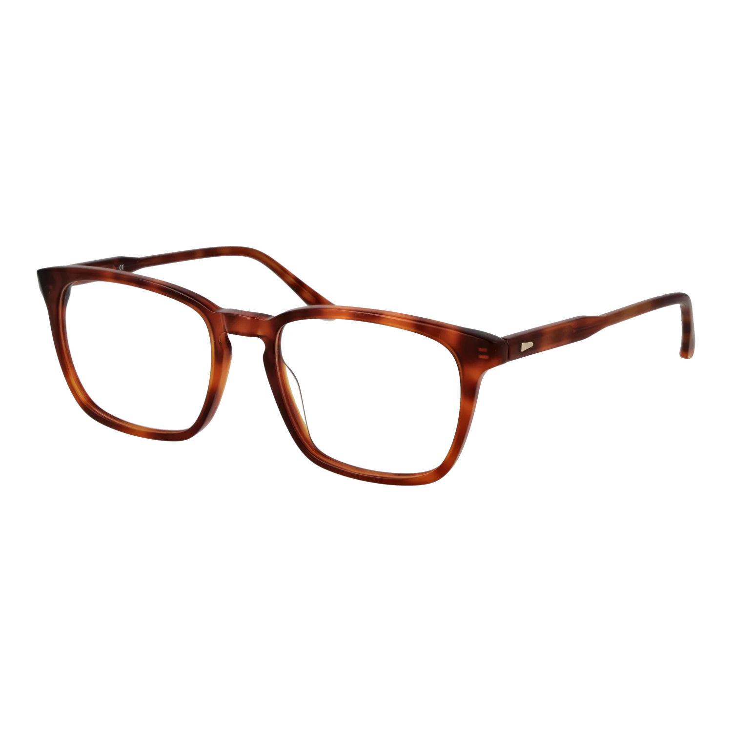 Sandro Optical Frame SD1029 201 55