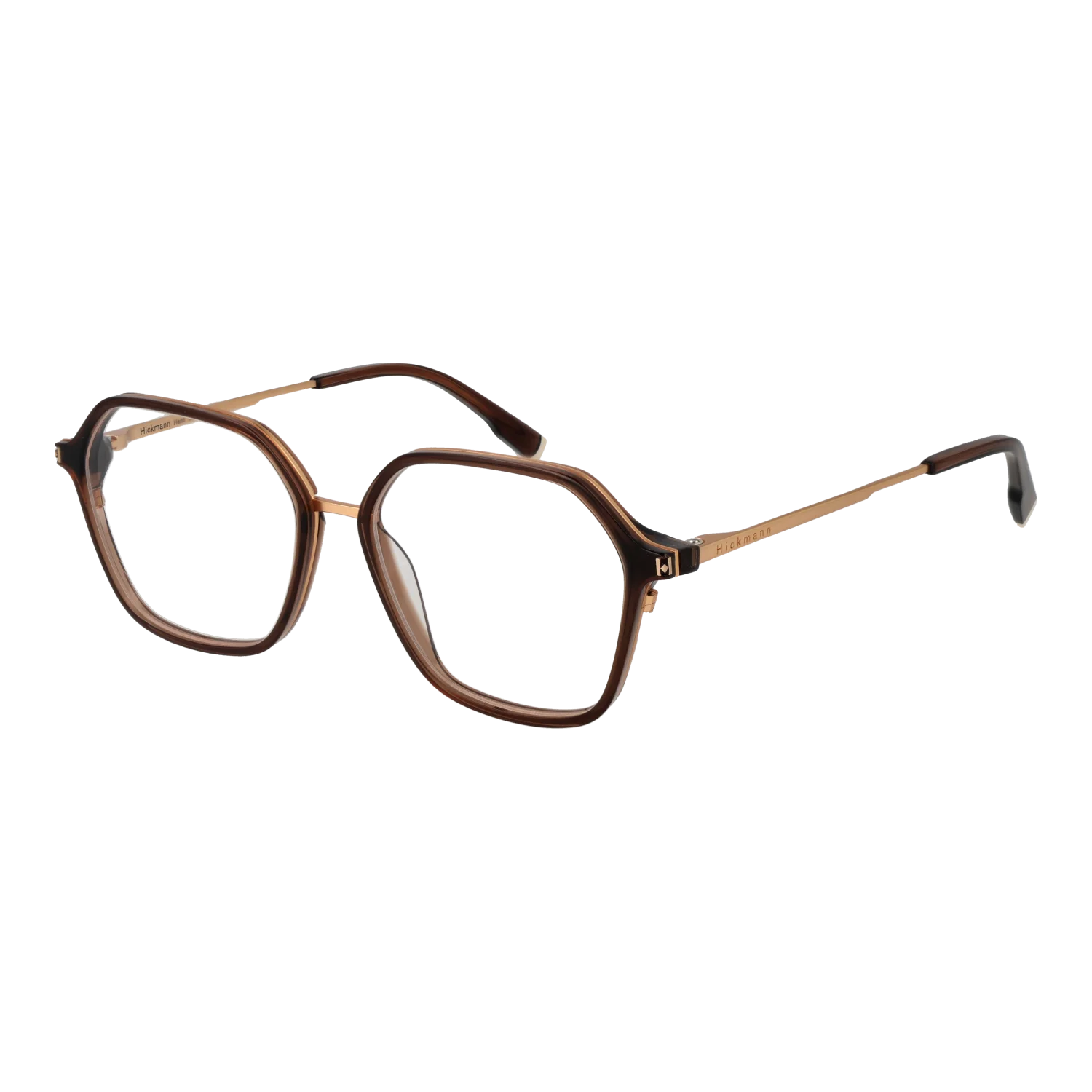 [25001353] Ana Hickmann Optical Frame HI6254 T02 52