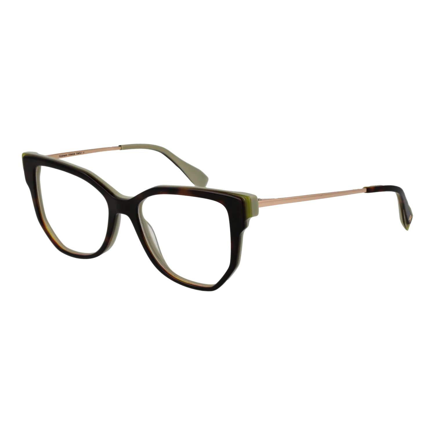 Ana Hickmann Optical Frame HI6292T G21 51 Titanium