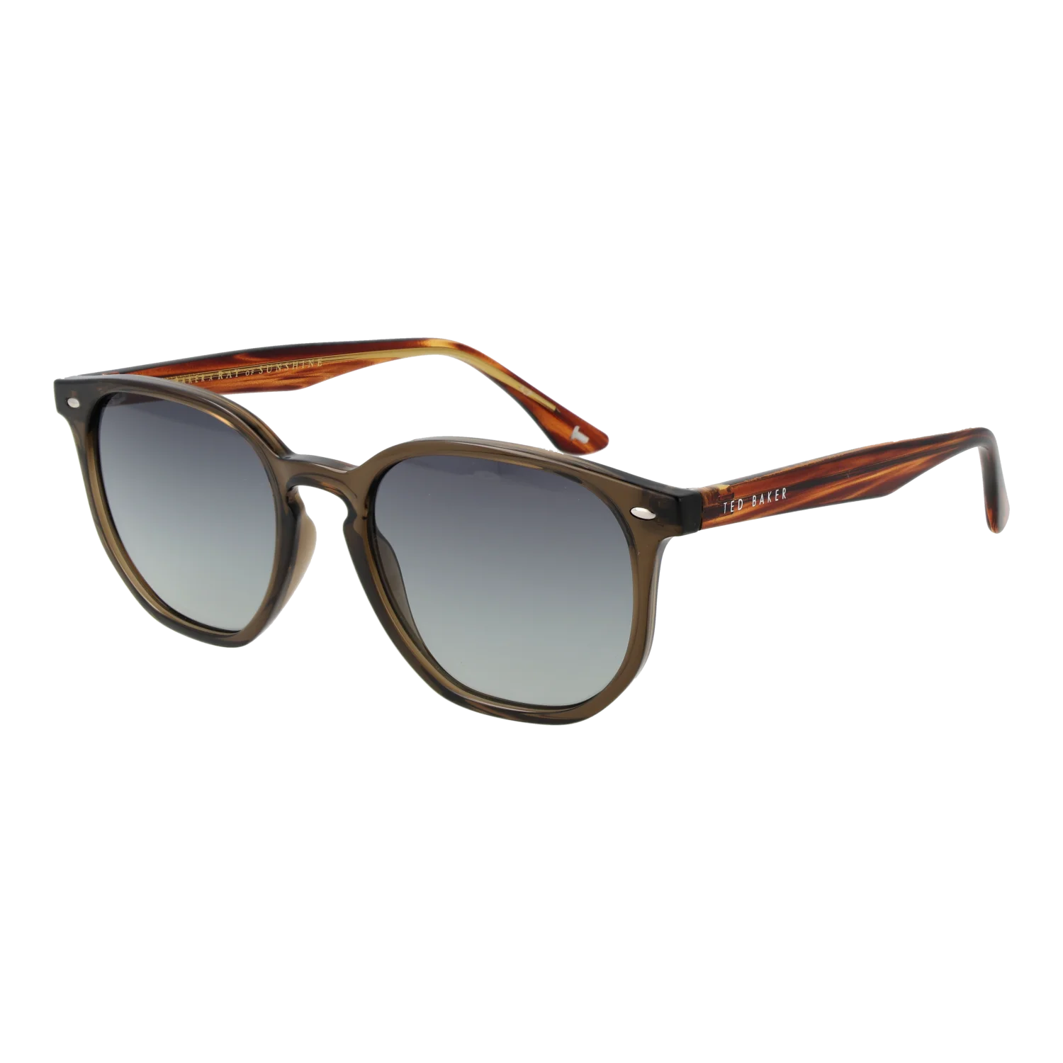 Ted Baker Gafas De Sol TB1655 949 52