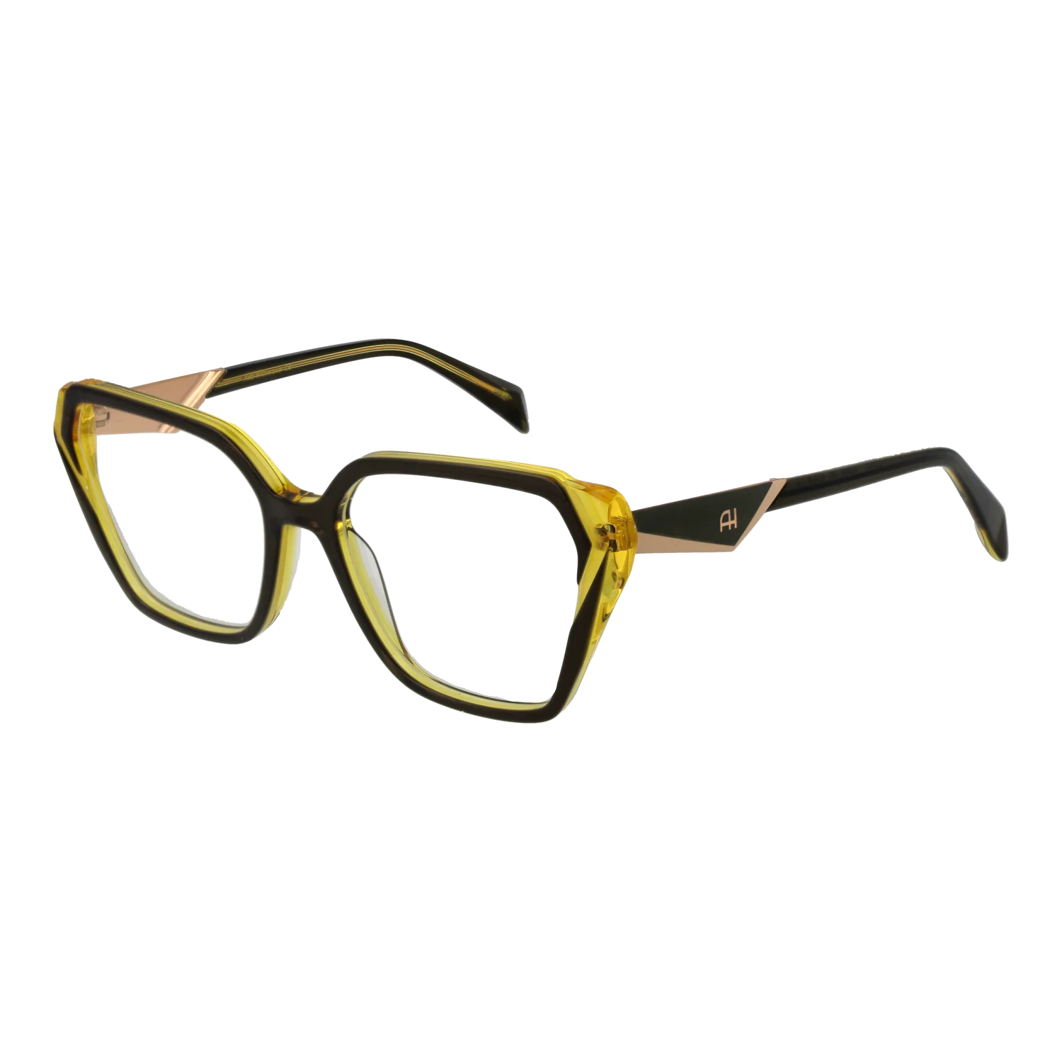 Ana Hickmann Optical Frame AH6538 H01 54