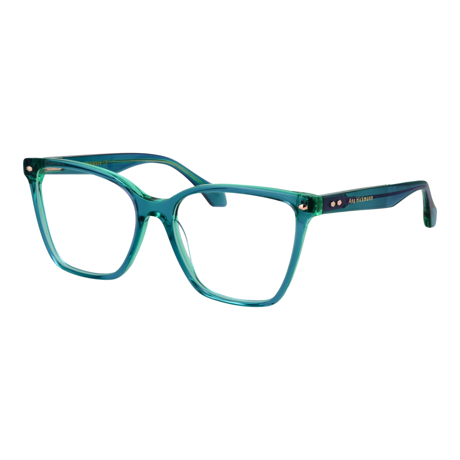 Ana Hickmann Optical Frame AH6510 H02 54