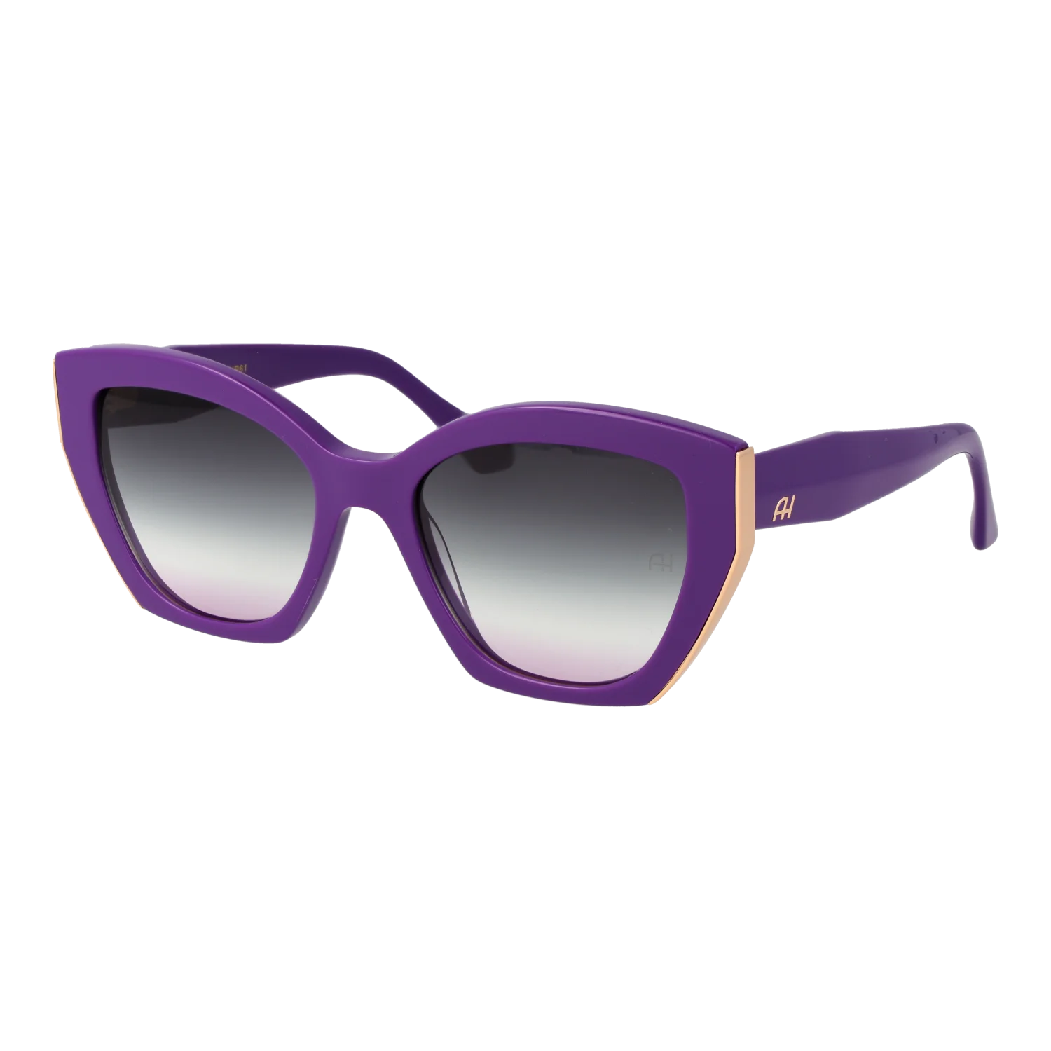 Ana Hickmann Sunglasses AH9464 D01 53