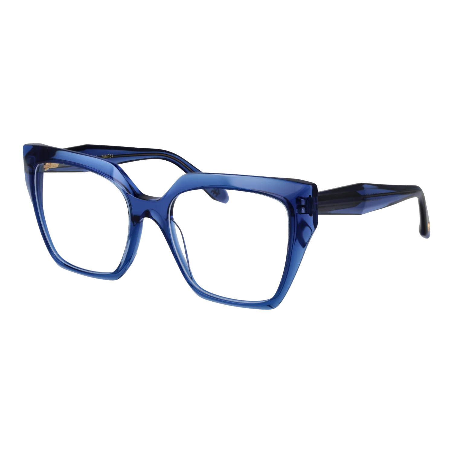 Ana Hickmann Lunettes AH6588 T02 55
