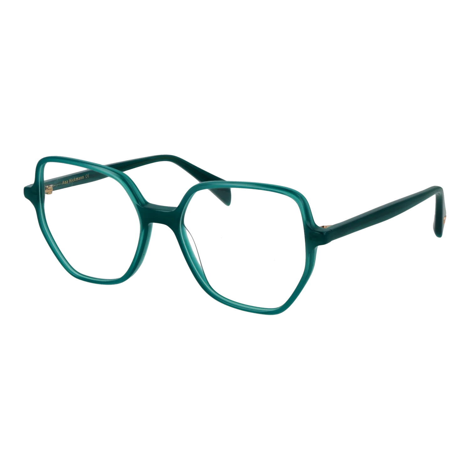 Ana Hickmann Optical Frame AH6614 T01 53