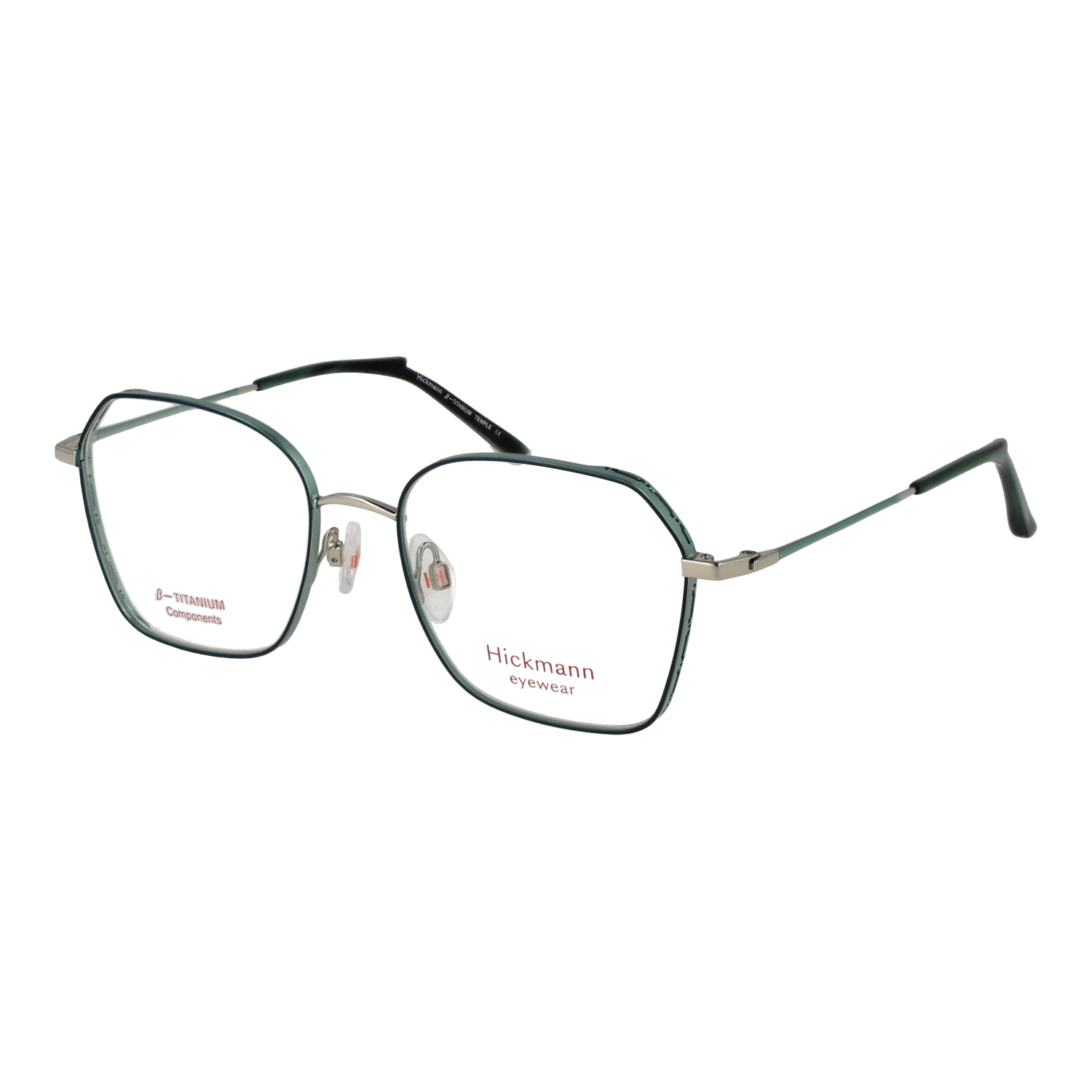 Ana Hickmann Optical Frame HI1246T 06A 54 Titanium