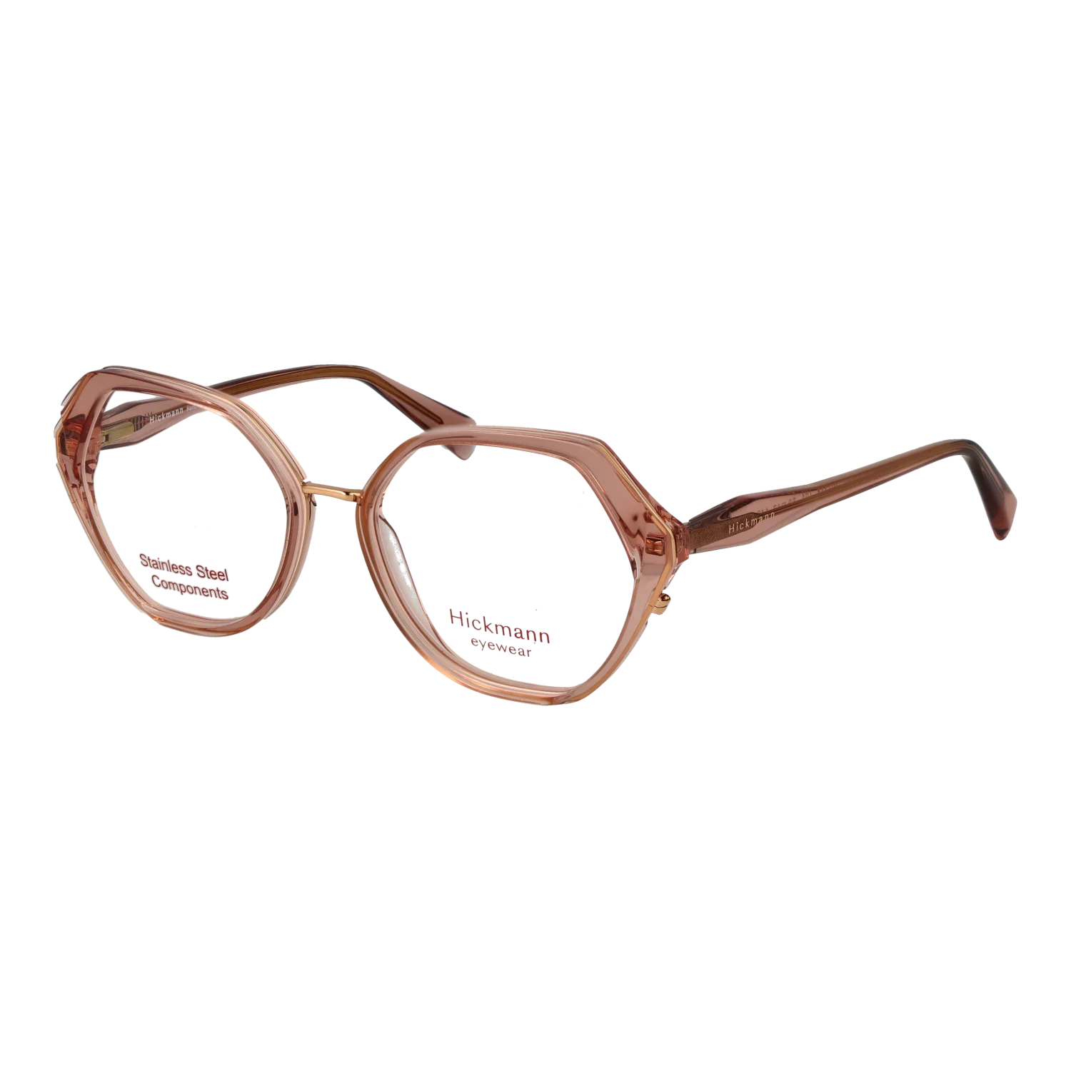 Ana Hickmann Lunettes HI1248 T01 53