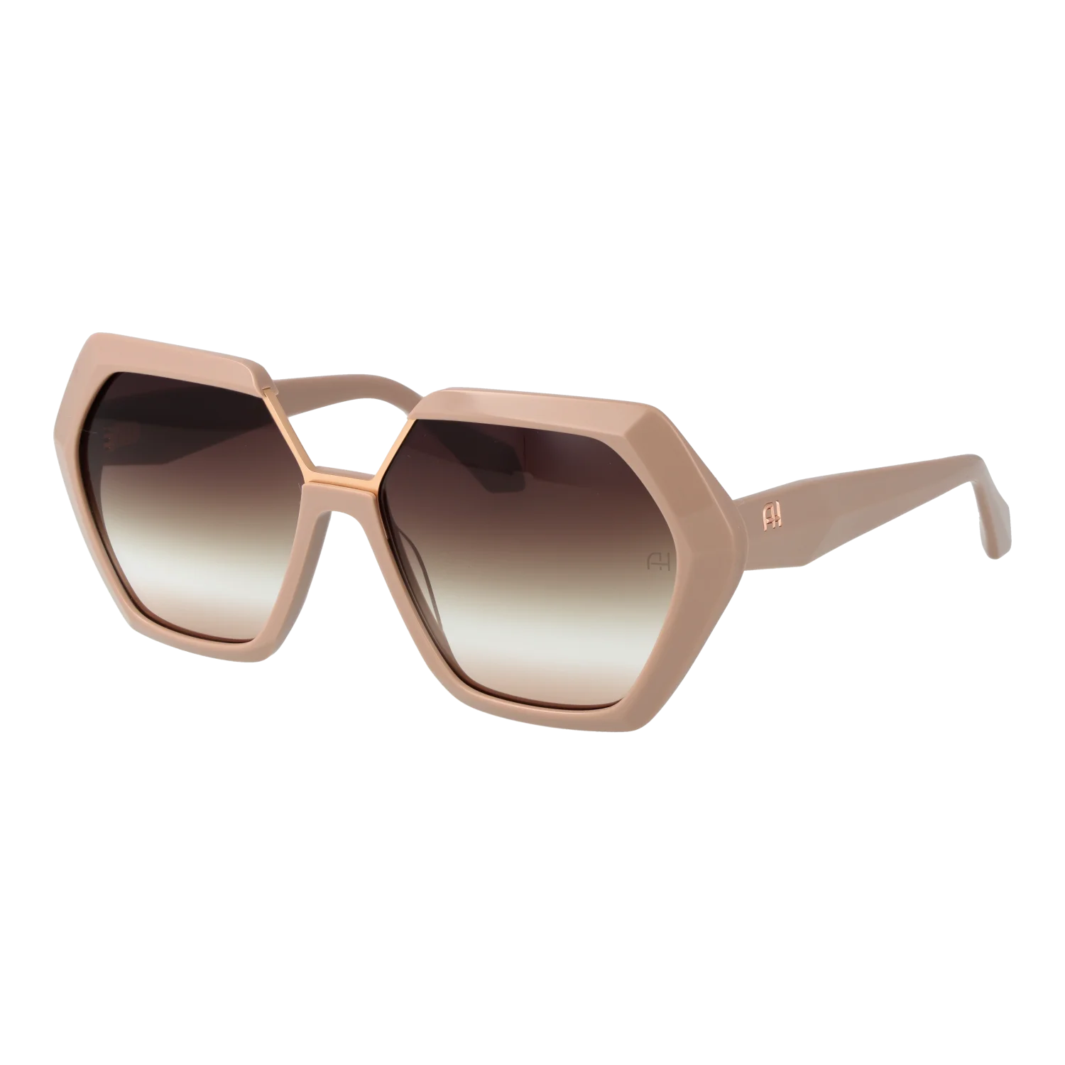 Ana Hickmann Sunglasses AH9426 D02 60