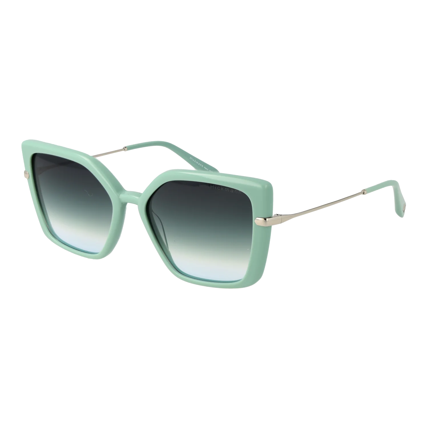 Ana Hickmann Gafas De Sol HI9234 D02 56