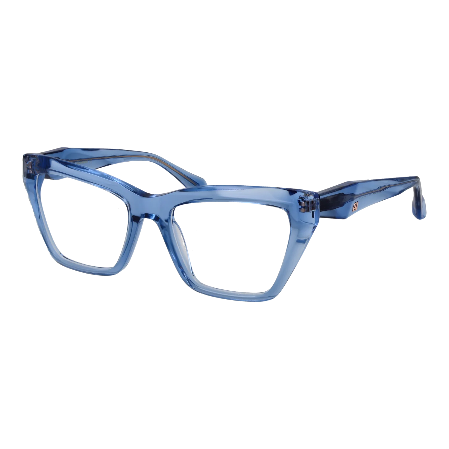Ana Hickmann Optical Frame AH6534 T01 52