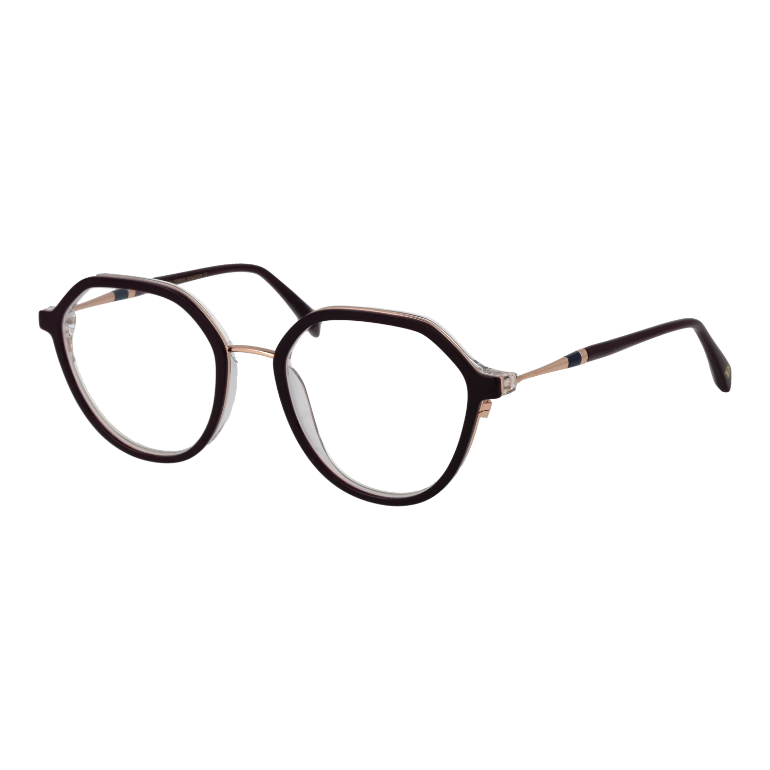 Ana Hickmann Optical Frame AH1554T H01 52 Titanium