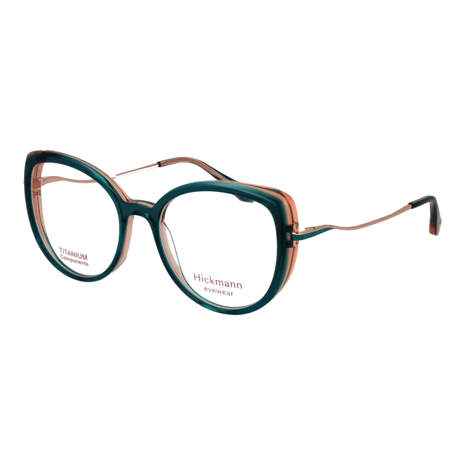 Ana Hickmann Brillenfassung HI6334T H01 51 Titan