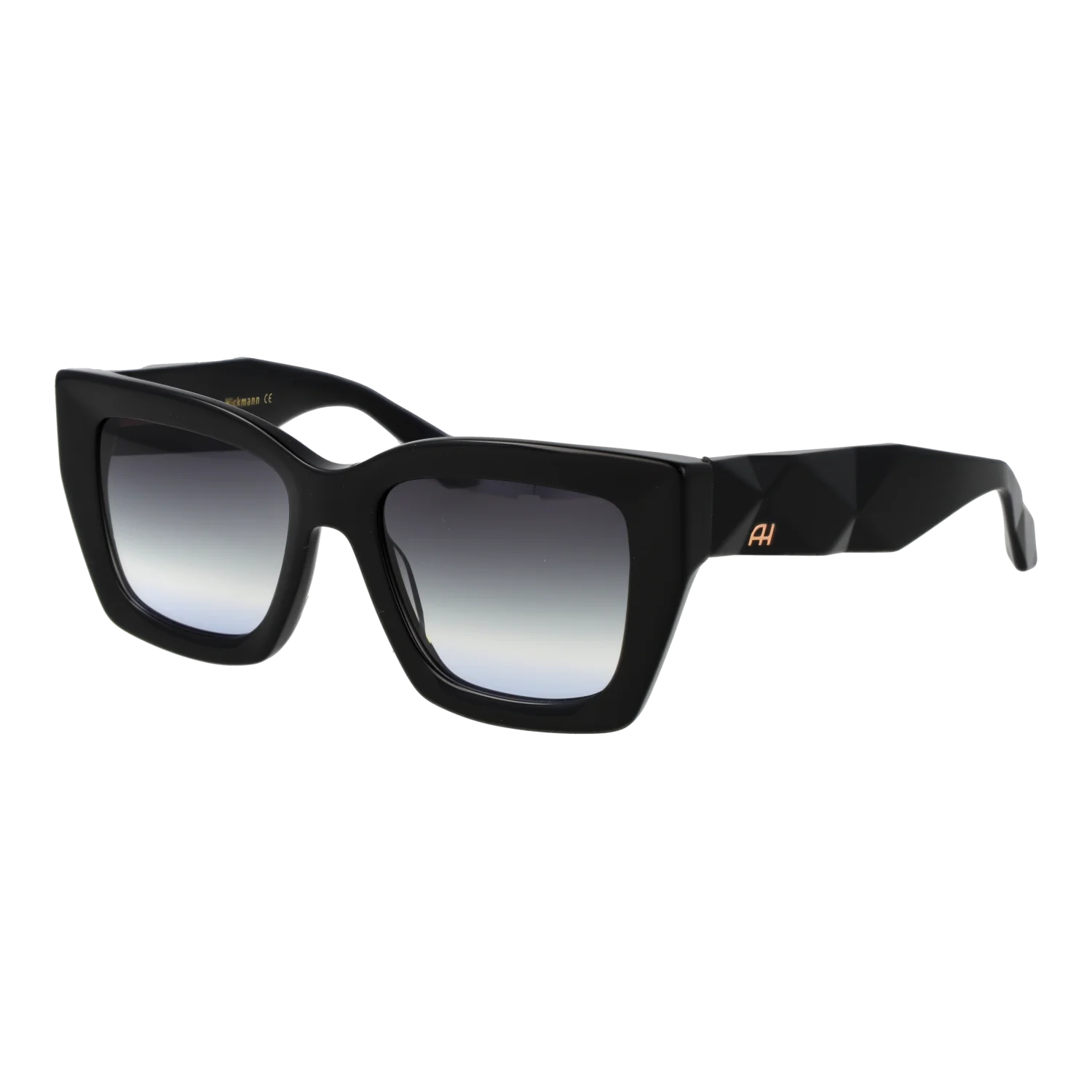 Ana Hickmann Sunglasses AH9394 A01 52