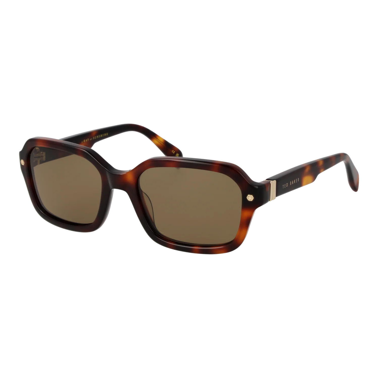 Ted Baker Sunglasses TB1697 101 55