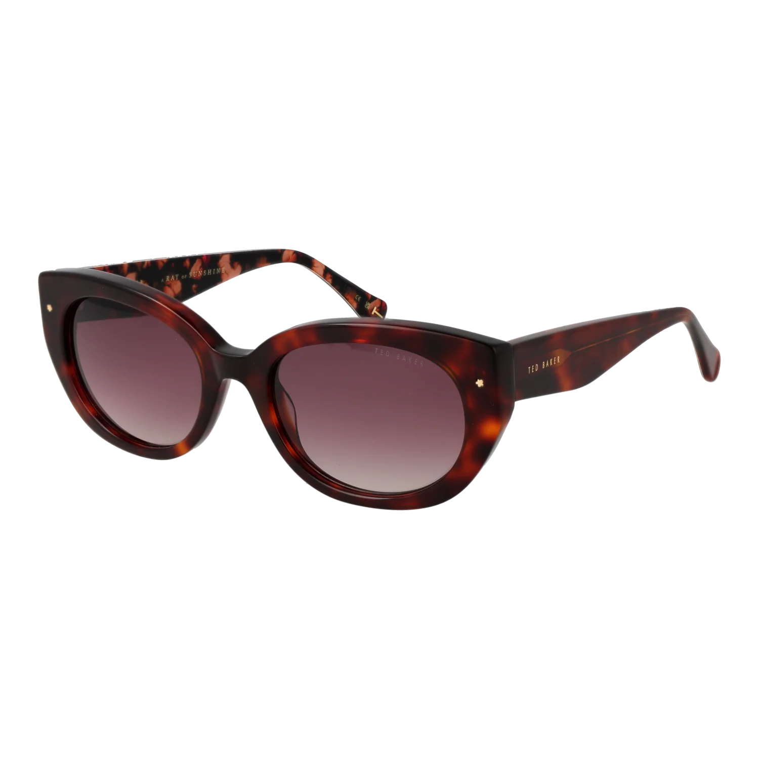 Ted Baker Sunglasses TB1737 100 53