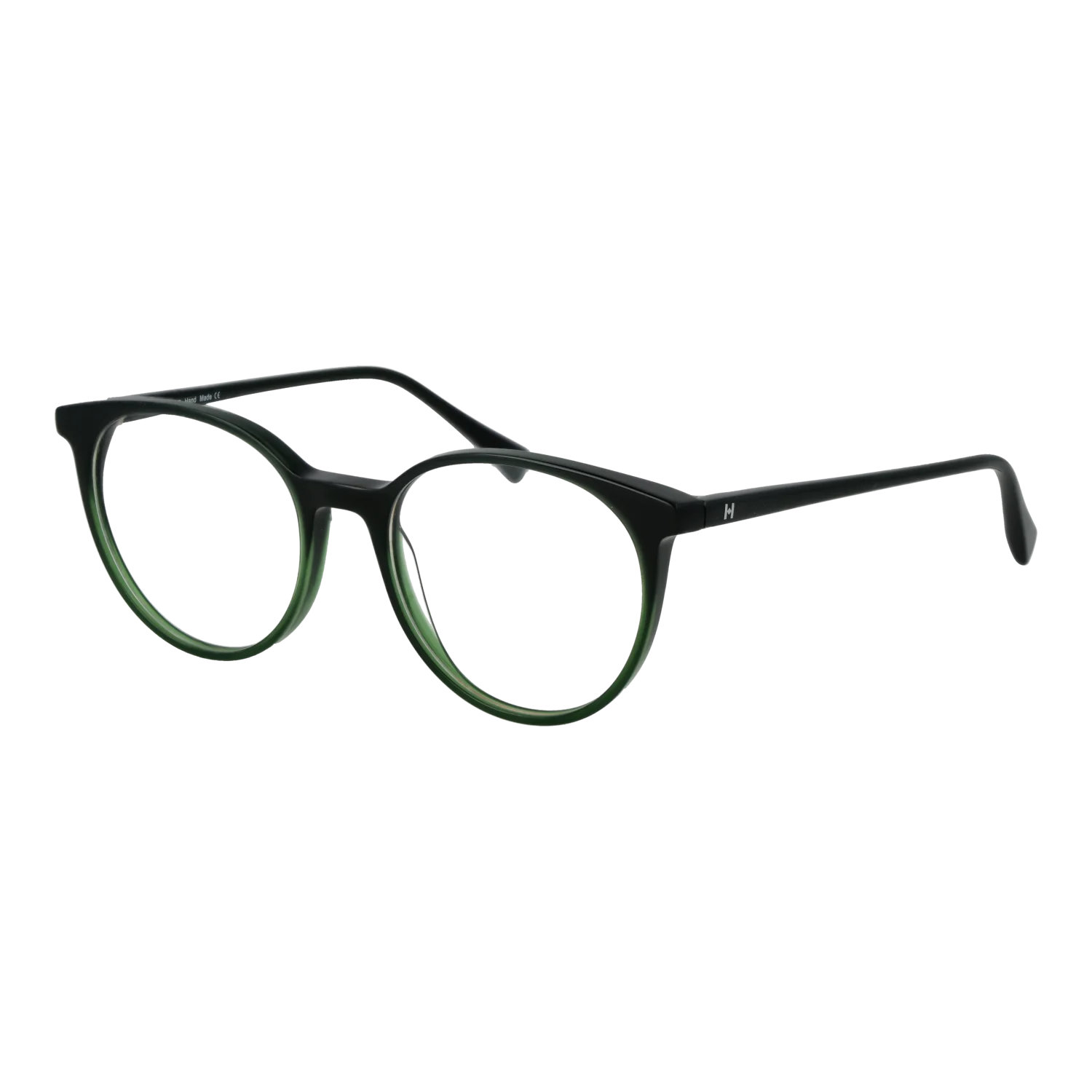 Ana Hickmann Gafas HI6313 C01 50