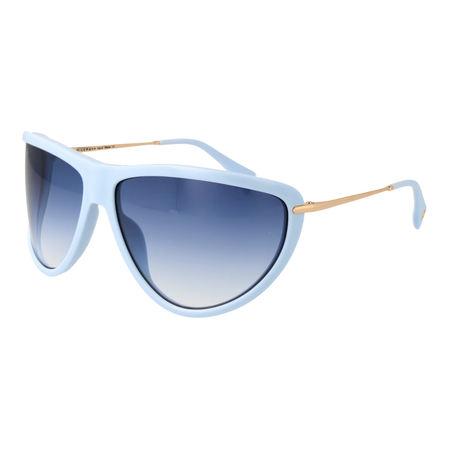 Ana Hickmann Sunglasses HI9251 D02 73