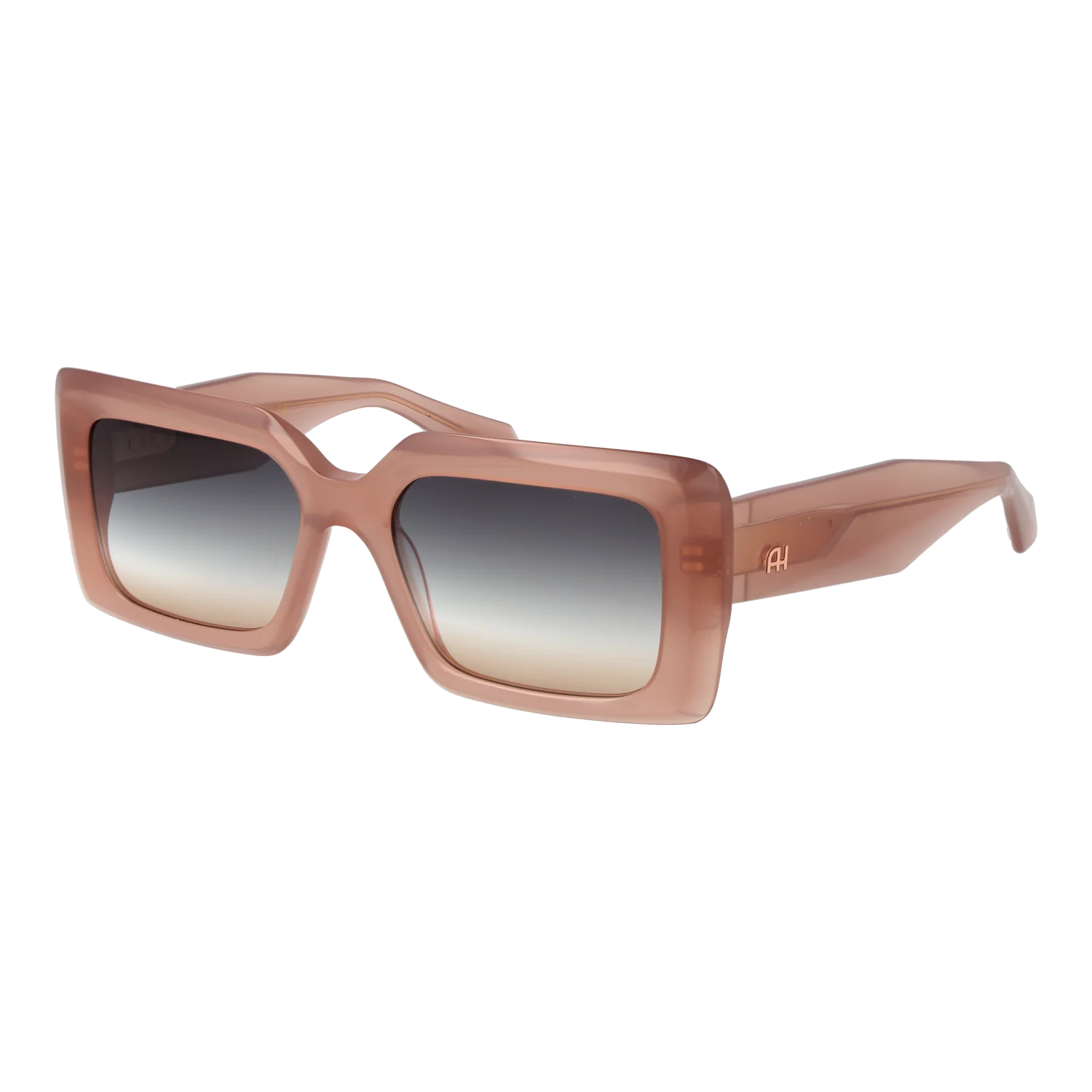Ana Hickmann Sunglasses AH9397 T02 53