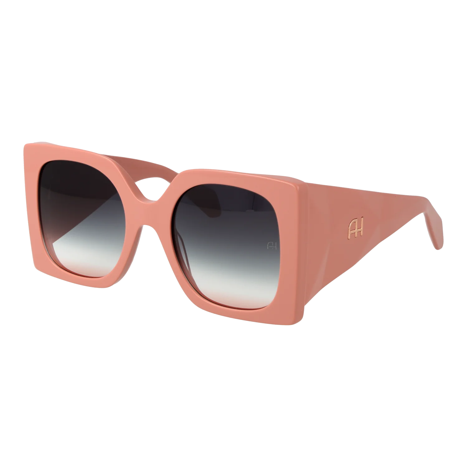 Ana Hickmann Sunglasses AH9434 D01 55