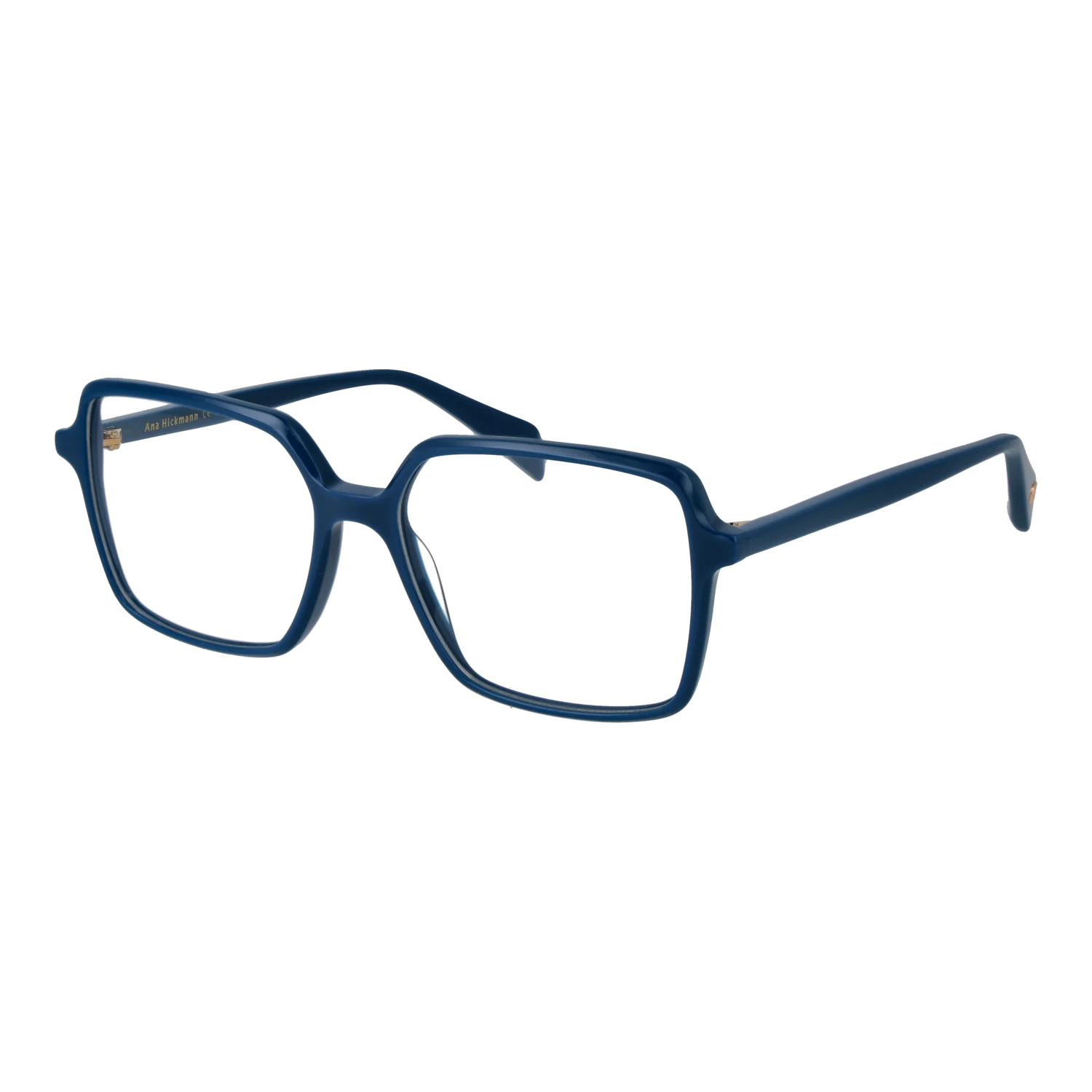 Ana Hickmann Lunettes AH6613 D01 54