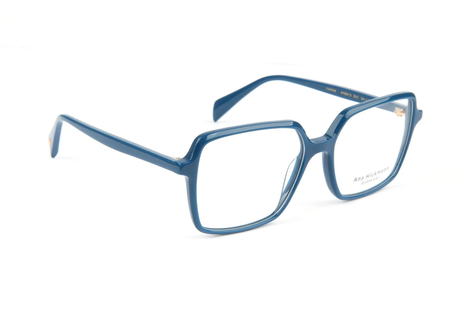 Ana Hickmann Optical Frame AH6613 D01 54