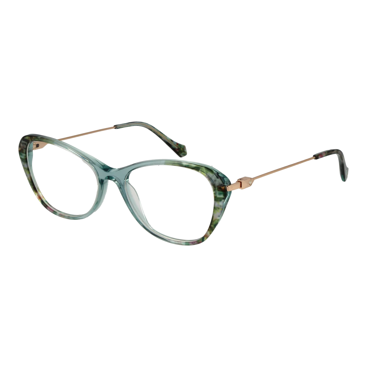 Ana Hickmann Lunettes AH6495T C01 54