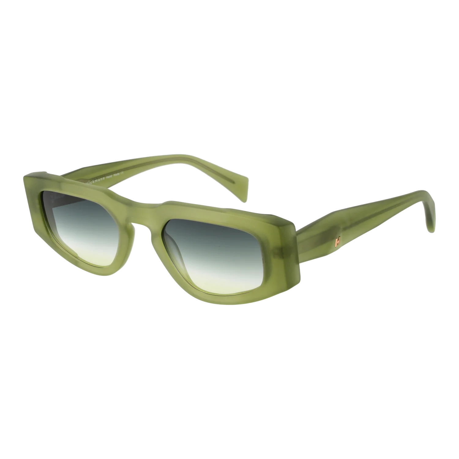 Ana Hickmann Sunglasses HI9220 T01 51