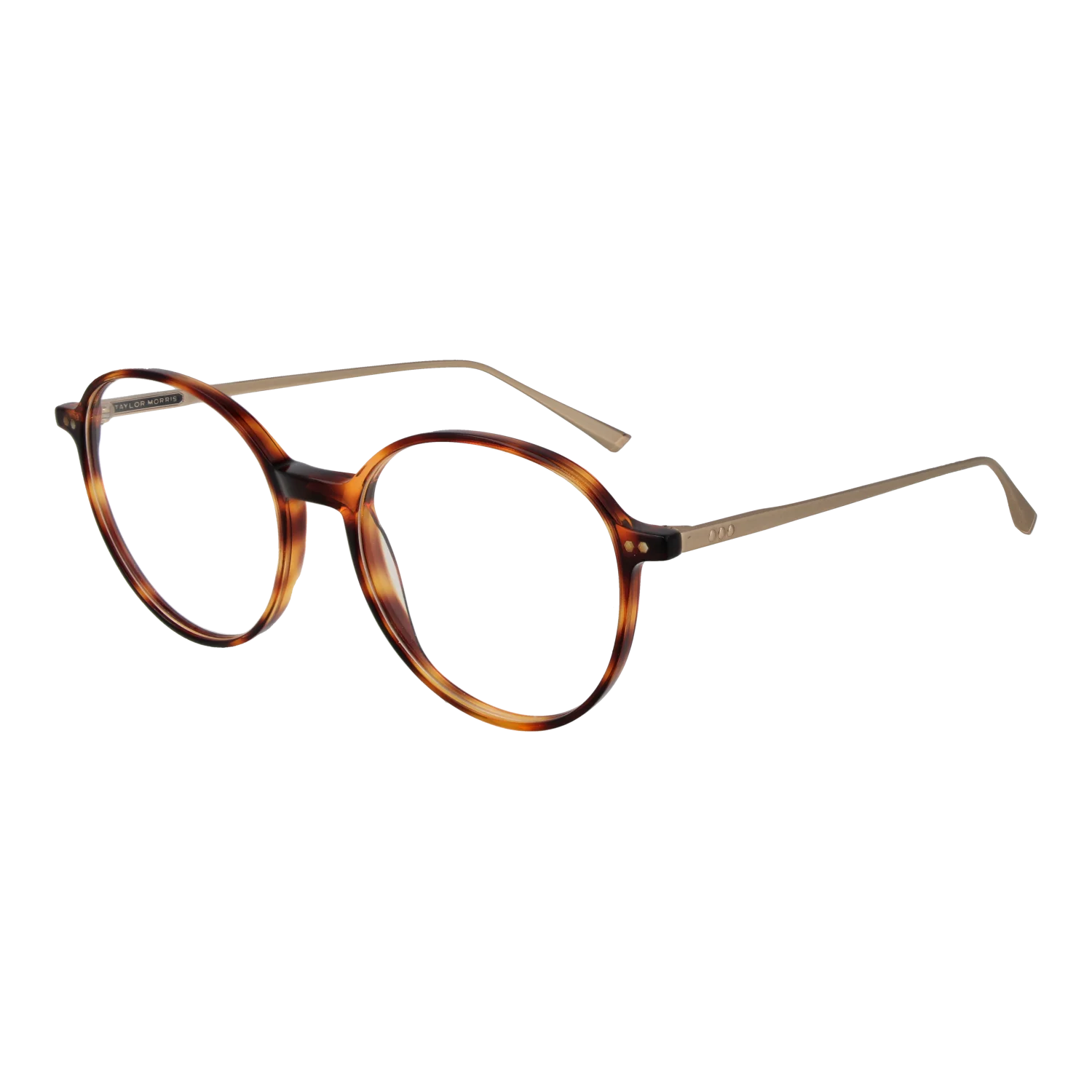 [25005861] Taylor Morris Optical Frame SW15 C2