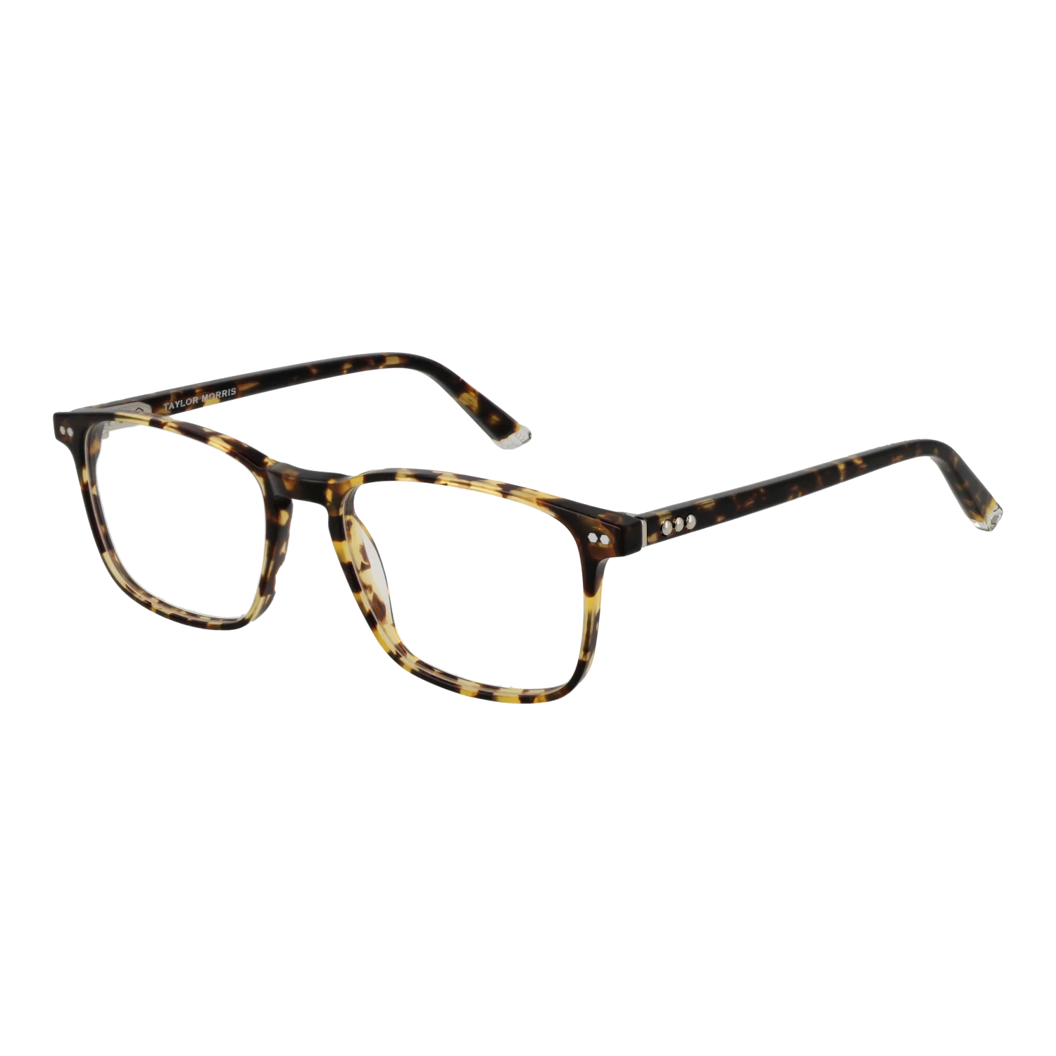 Taylor Morris Gafas SW16 C10 52