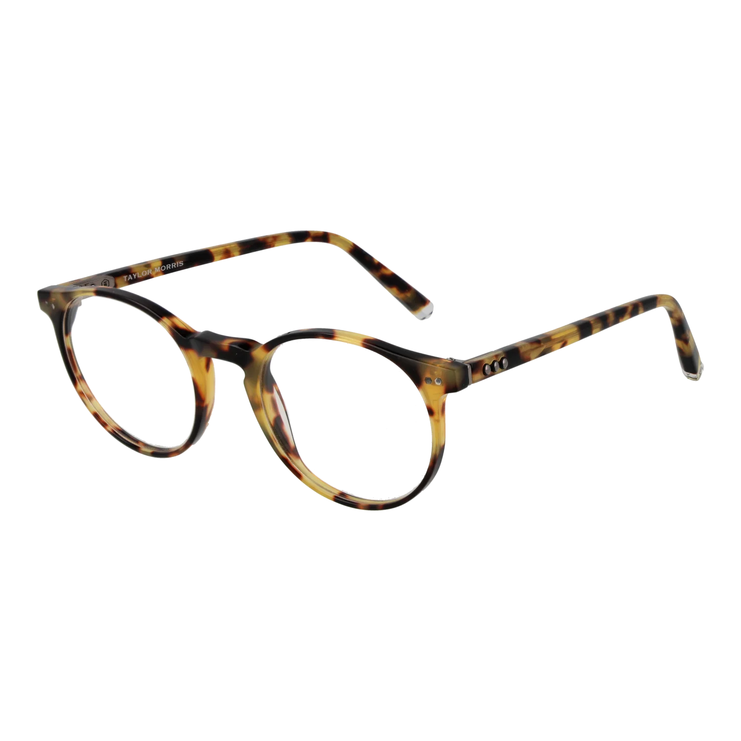 [25005874] Taylor Morris Optical Frame SW17 C3 48