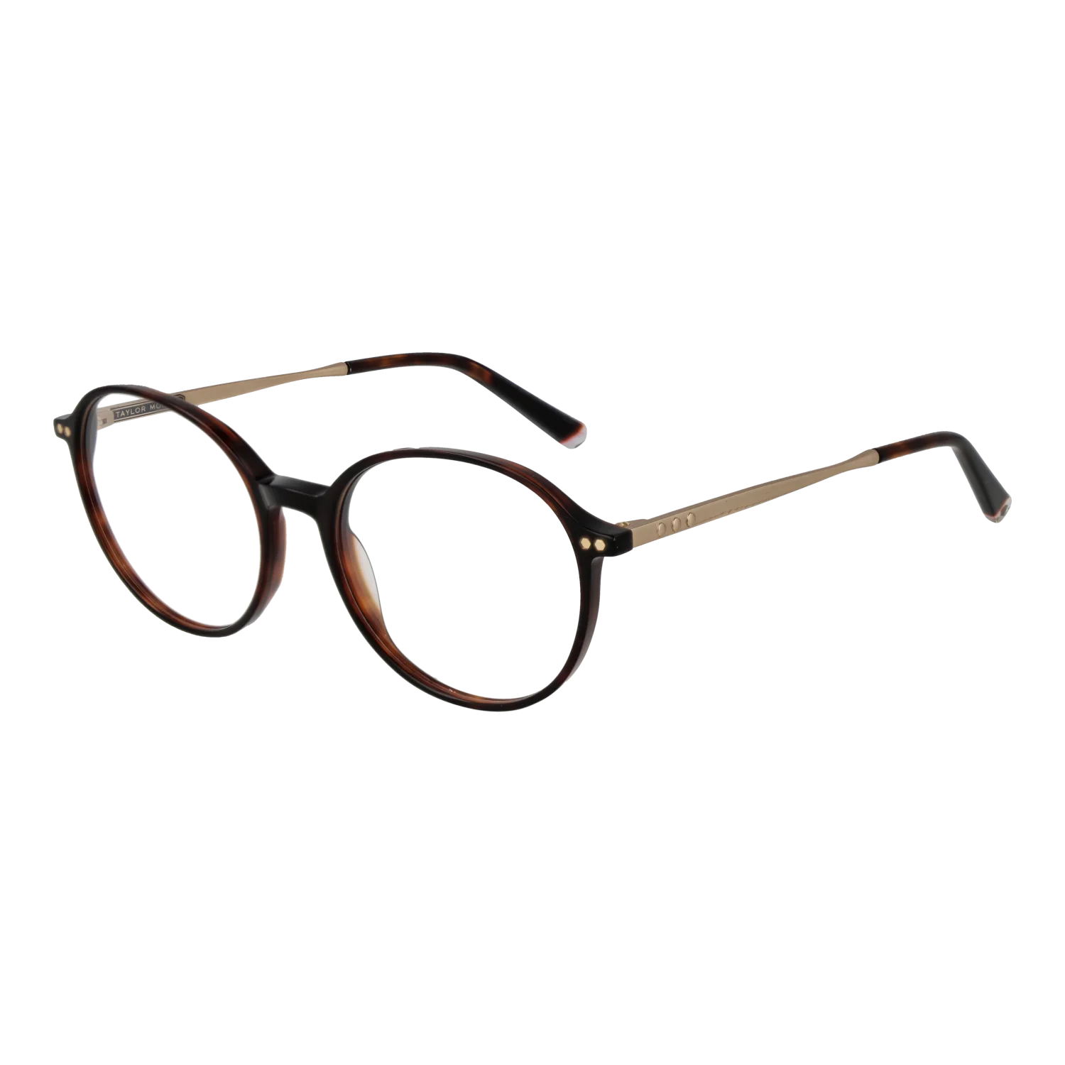 Taylor Morris Optical Frame SW1 C6 51