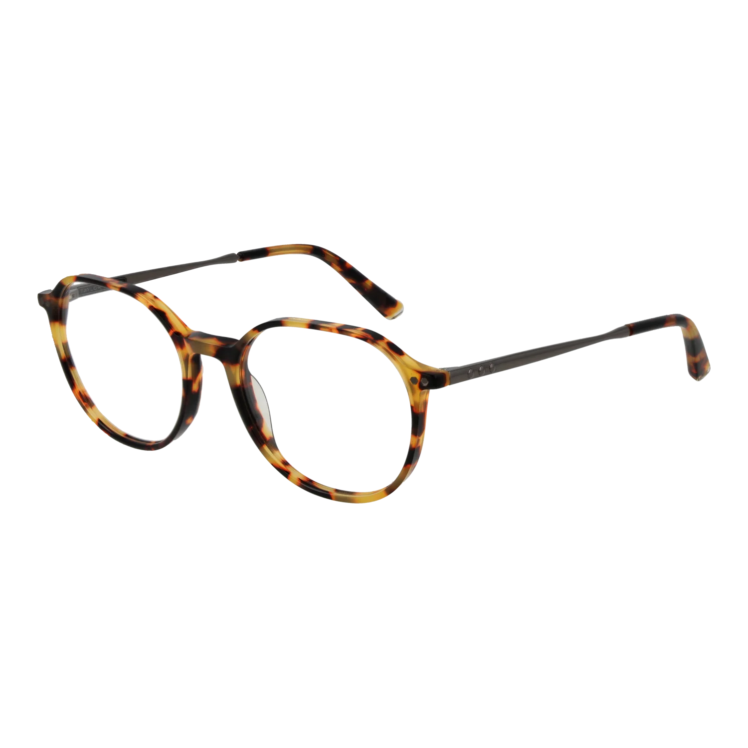 [25005882] Taylor Morris Lunettes SW2 C3 51