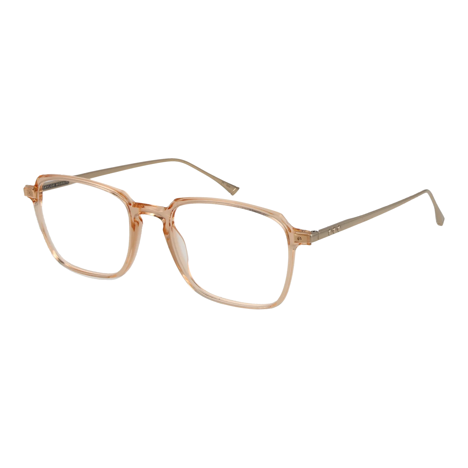Taylor Morris Optical Frame SW3 C5 53