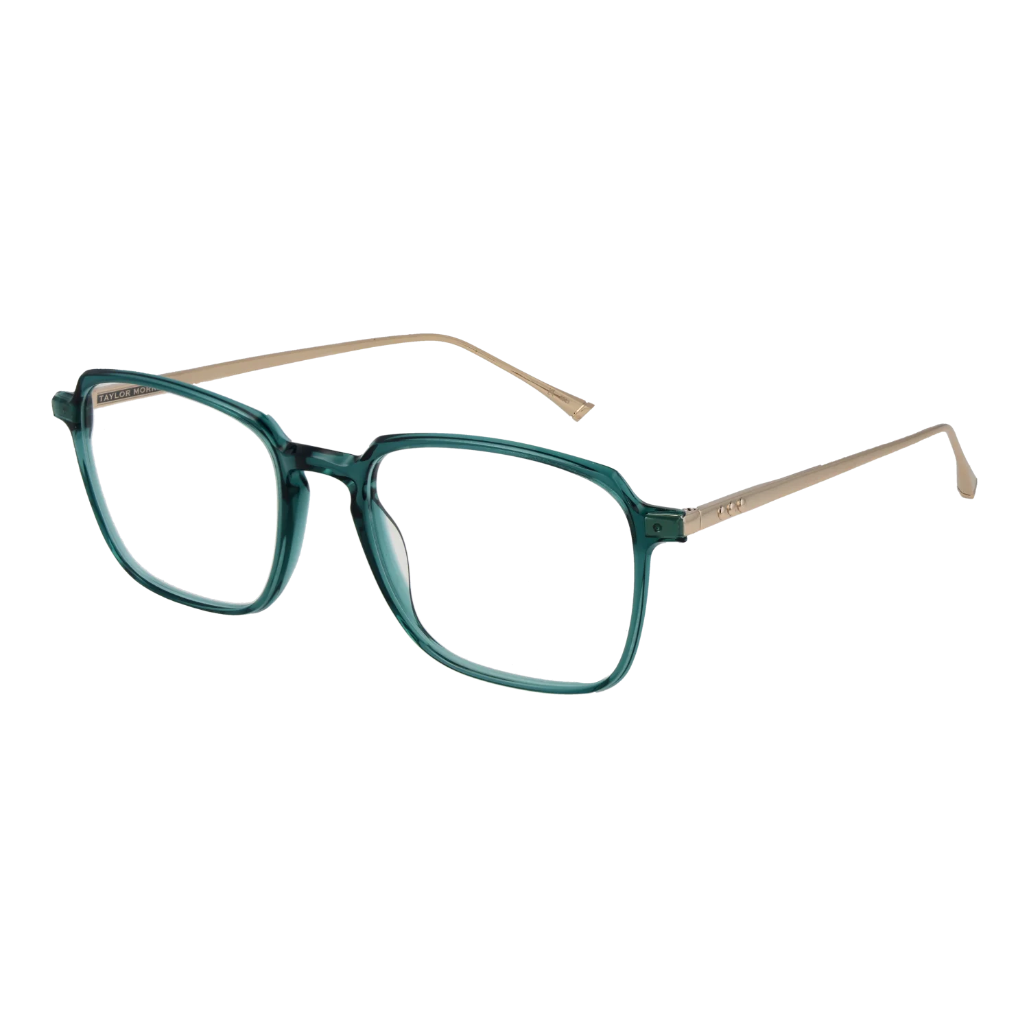 [25005888] Taylor Morris Lunettes SW3 C6 53