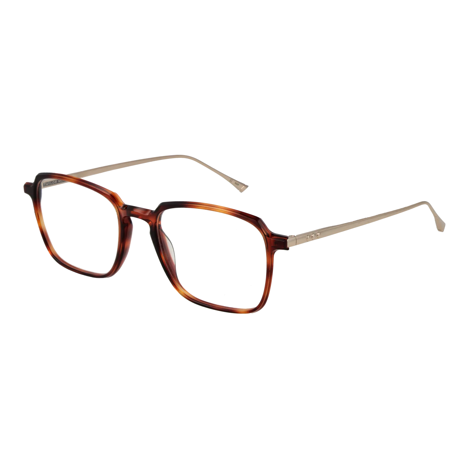 Taylor Morris Optical Frame SW3 C7 53