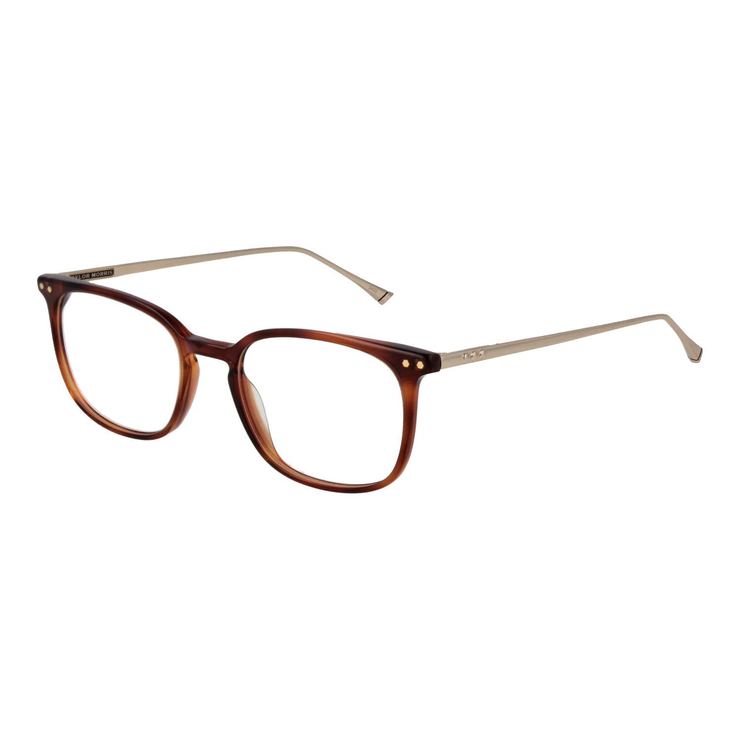 [25005928] Taylor Morris Lunettes TM06 C2 49