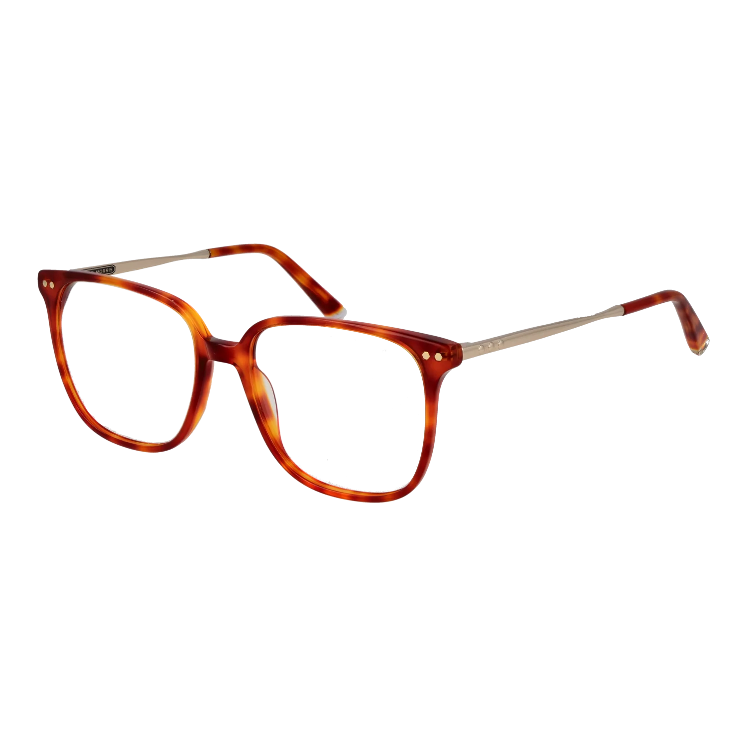 Taylor Morris Lunettes TM08 C2 53