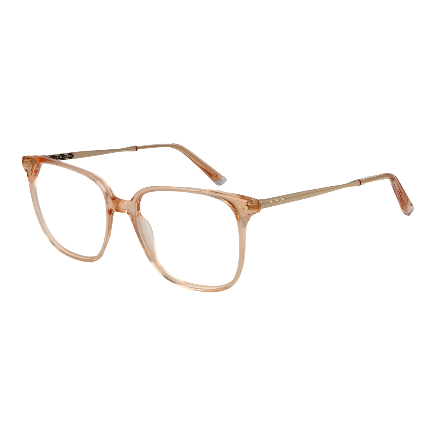 Taylor Morris Brillenfassung TM08 C3 53