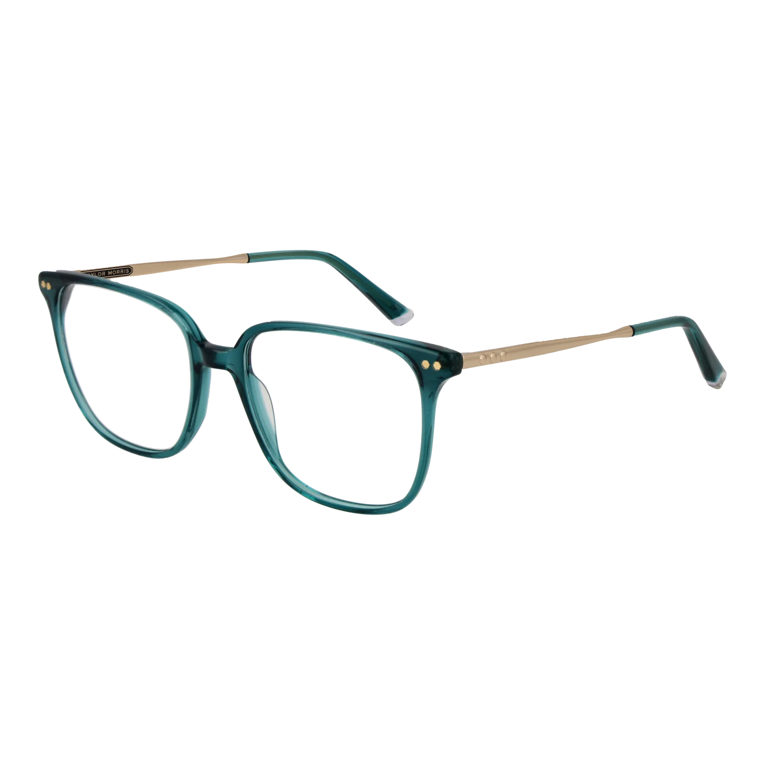 Taylor Morris Lunettes TM08 C4 53