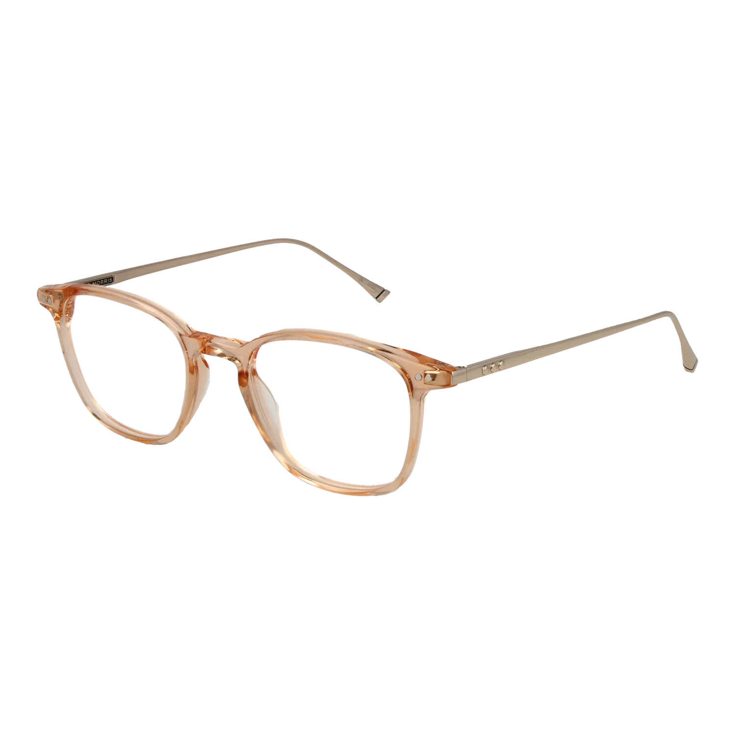 [25005975] Taylor Morris Gafas W9 C5 48