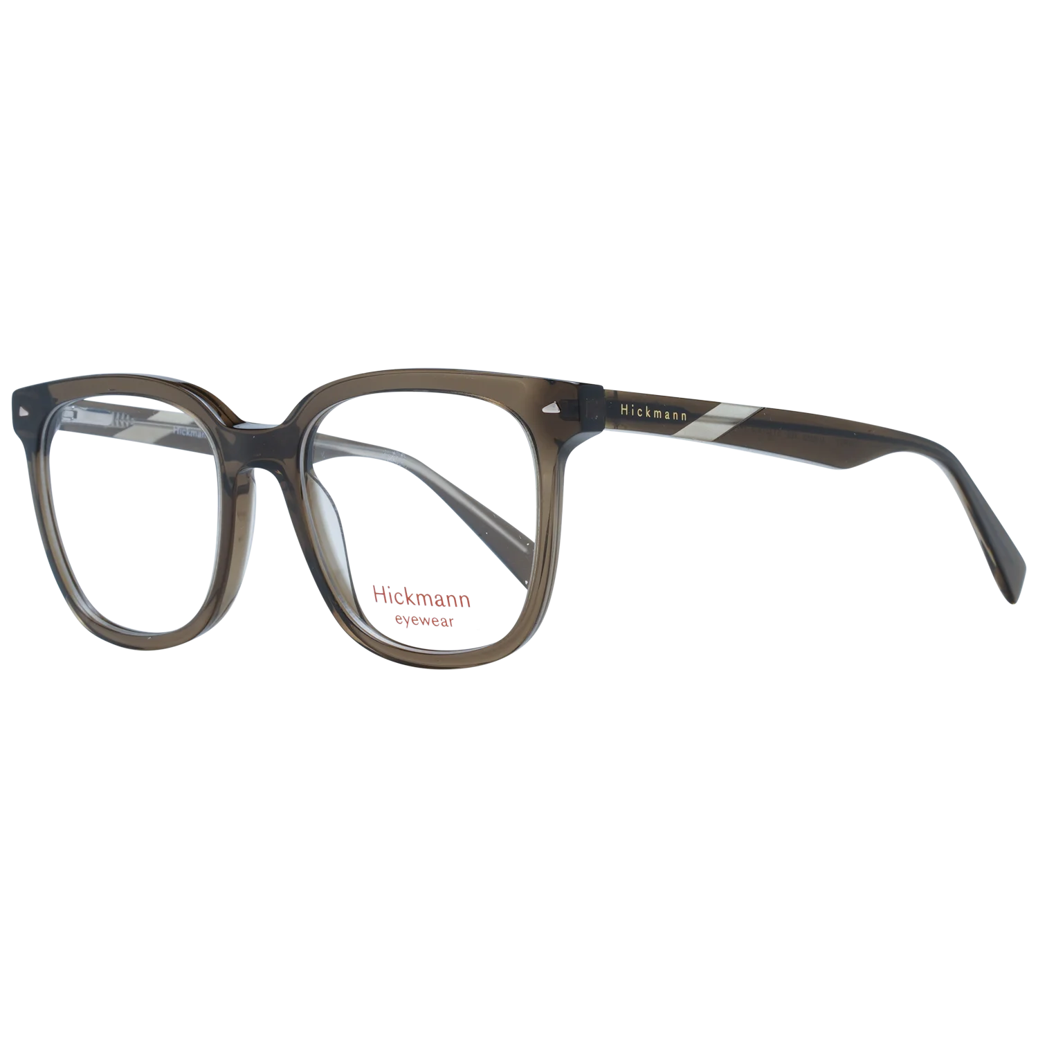 Ana Hickmann Optical Frame HI6253 T02 51
