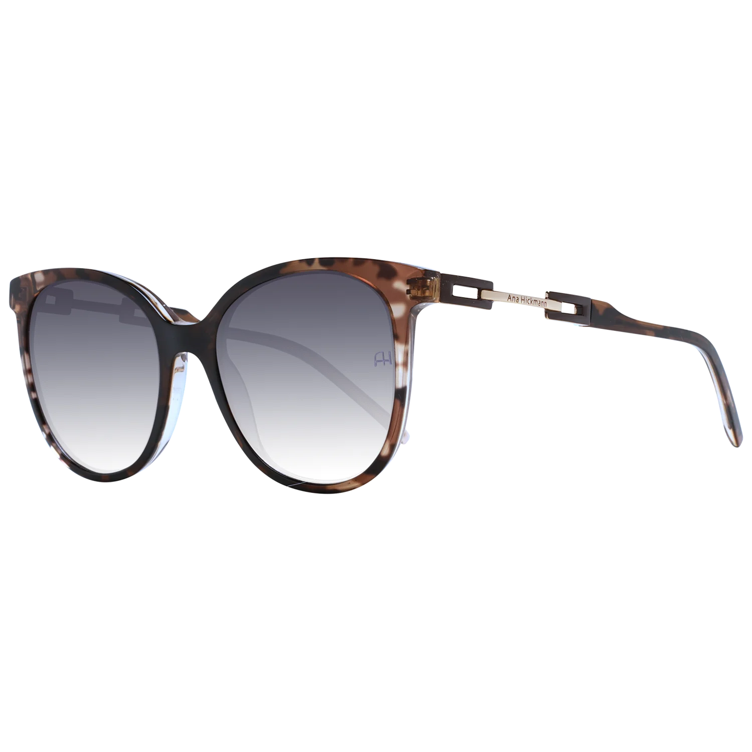[20241210] Ana Hickmann Sunglasses AH9347 C01 53
